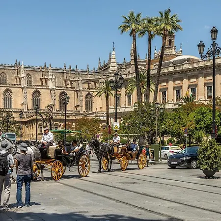 Waou Cosy I Cathedral Seville
